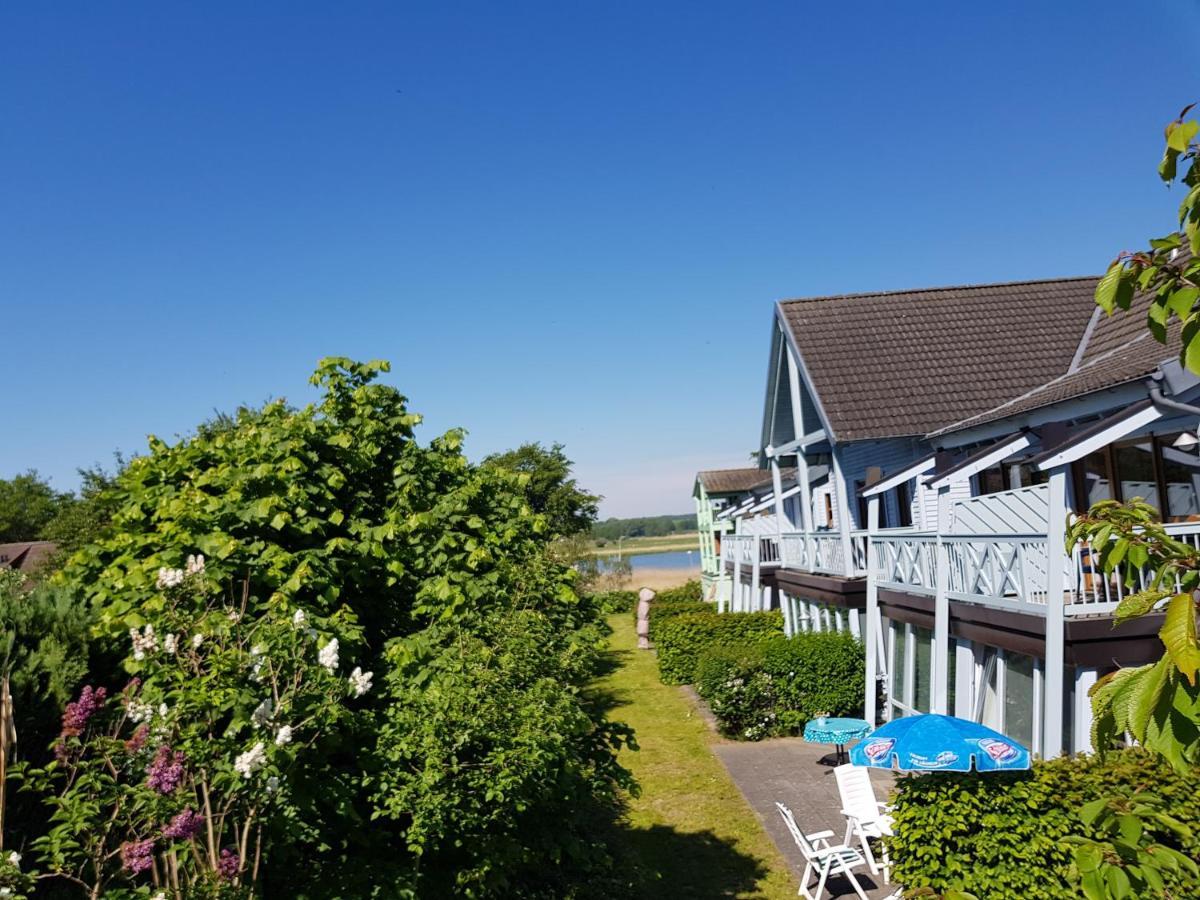 Ferienwohnung 7 Im Haus Am See Mit Balkon ゼリン エクステリア 写真